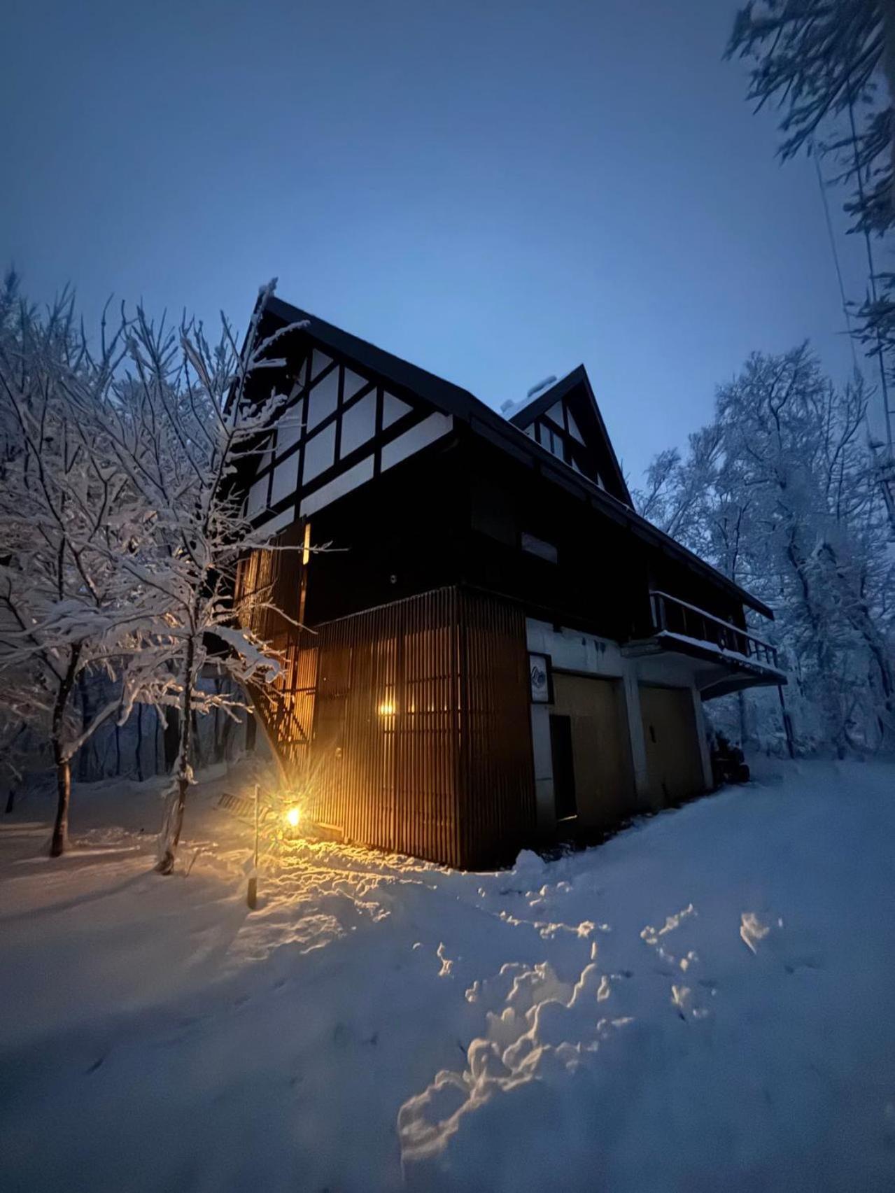 Woody Island Villa Hakuba Kültér fotó